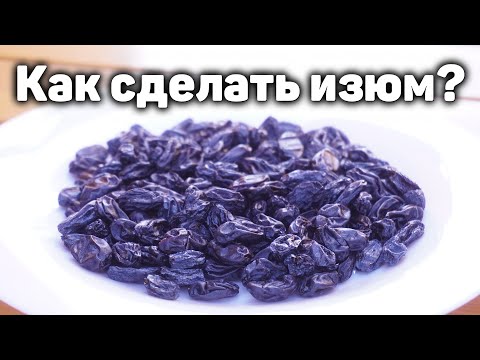 Видео: Как приготовить изюм в домашних условиях?
