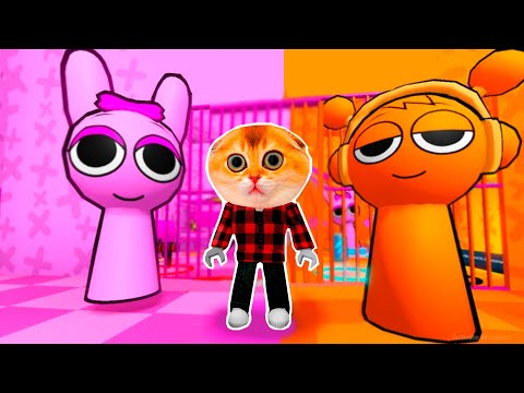 Видео: УБЕГАЮ ИЗ ТЮРЬМЫ ОРАНЖЕВОГО И РОЗОВОГО СПРУНКИ В РОБЛОКС! PINK VS ORANGE SPLANKI'S PRISON RUN (Obby)