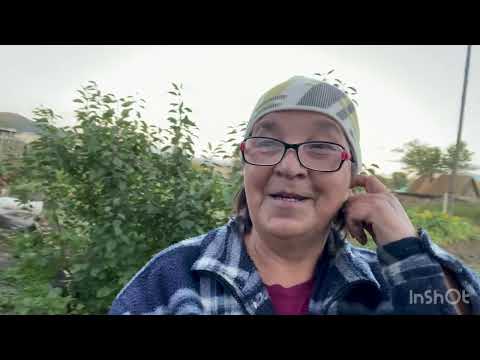Видео: У меня сегодня саламат