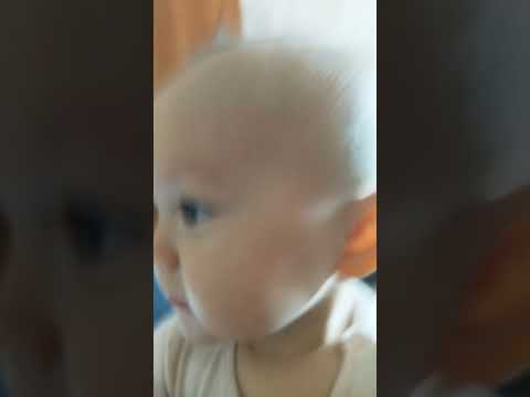 Видео: АИЛАНА 12местца