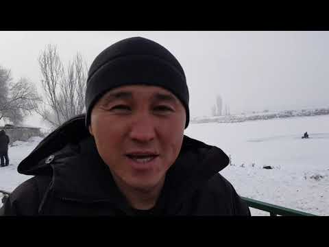 Видео: +996 772 675 005 Рамис, Карабалты. Анвар Рустемов +77017224679 (ватцап)