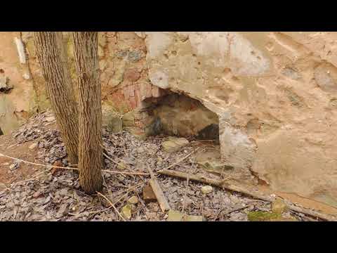 Видео: Засулье Столбцовский район, Минская область ч1