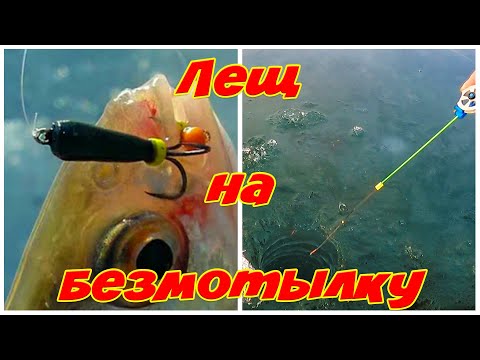 Видео: Лещ на БЕЗМОТЫЛКУ! ТОП 5 проводок для безмотыльной ловли! Зимняя Рыбалка 2021!