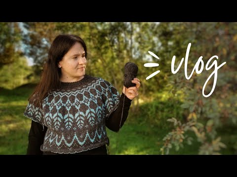 Видео: VLOG 40/2022 | ВЯЖУ ЛОПАПЕЙСУ #ARCTIUMSWEATER | РАЗБИРАЮ ЗАПАСЫ 😱 Я В ШОКЕ ОТ КОЛИЧЕСТВА ПРЯЖИ