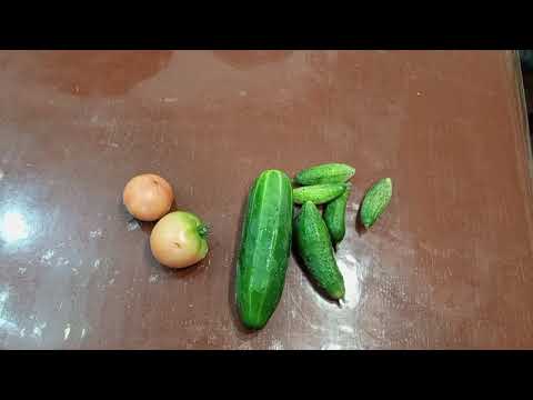 Видео: Белочки.Карта на корм зверятам 2202 2062 6013 7323