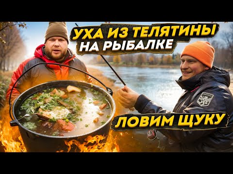 Видео: ЛОВИМ ЩУКУ. УХА ИЗ ТЕЛЯТИНЫ НА РЫБАЛКЕ