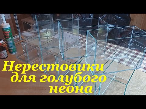 Видео: Нерестовик для неона Как склеить аквариум для нереста голубого неона