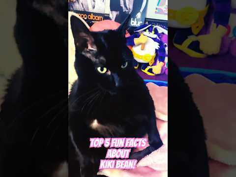 Видео: 5 самых интересных фактов о Кики Бин!