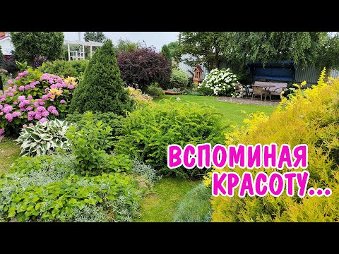 Видео: 15 соток красоты. Пересматриваю и не верю!