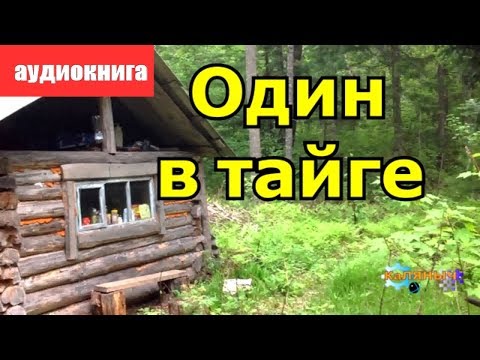 Видео: Один в тайге