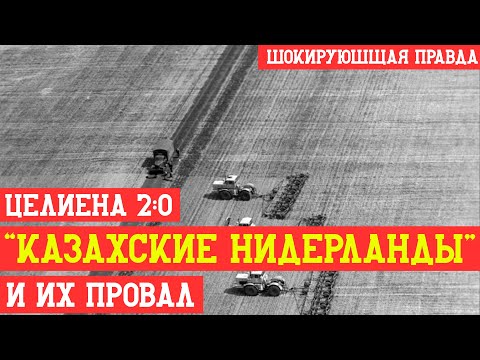 Видео: Целина 2.0: «казахские Нидерланды» и их провал