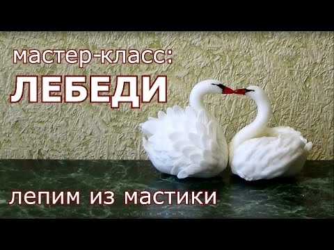 Видео: к 14 февраля. Влюбленные парочки: Лебеди