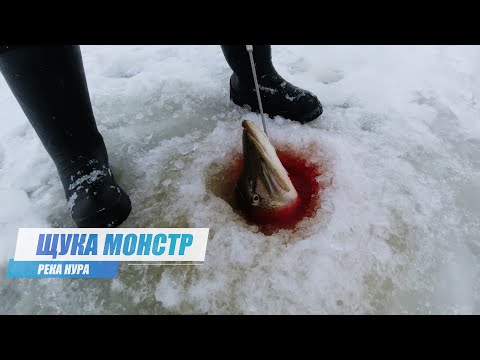 Видео: Этот монстр еле влез в 150 лунку. Трофейная рыбалка на реке Нура