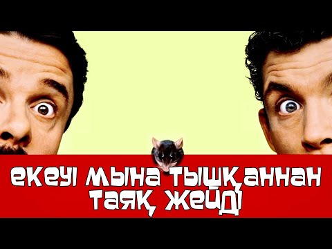 Видео: АҒАЙЫНДЫЛАР ТЫШҚАННАН ЖАМАН ТАЯҚ ЖЕЙДІ | АҒАЙЫНДЫЛАР ТЫШҚАННАН ТАЯҚ ЖЕЙДІ | Мышинна охота 1997 фильм