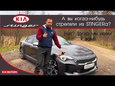 Видео: Обзор KIA Stinger от #яновичок.  Проверим умеет ли Stinger стрелять! ;)) КИА Стингер.