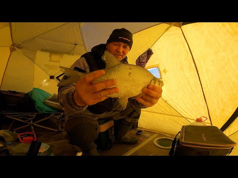 Видео: ЗИМНЯЯ РЫБАЛКА на РЕКЕ . БЕШЕНЫЙ КЛЁВ ЛЕЩА в ДЕКАБРЕ . Рыбалка в Казахстане.