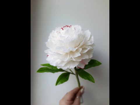 Видео: Пион. Часть 3. Листья, тонировка. Холодный фарфор.