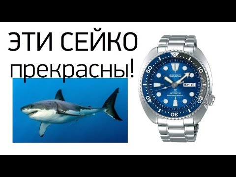 Видео: АКУЛА! Seiko Prospex Great White SRPD21 / SBDY031