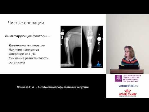 Видео: Лежнева Е. А. - Антибиотикопрофилактика в хирургии