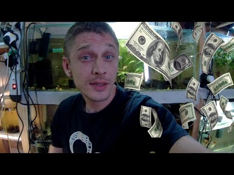 Видео: КАКУЮ РЫБКУ РАЗВОДИТЬ ДЛЯ ЗАРАБОТКА??? МОЕ МНЕНИЕ!!!