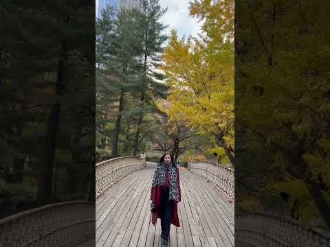 Видео: Моя первая осень в Нью-Йорке #nyc #manhattan #ньюйорк #америка #centralpark #fall