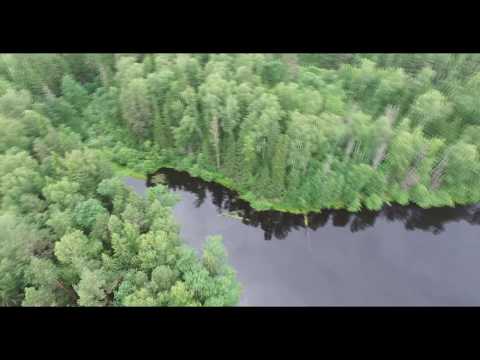 Видео: Александровский район. деревня Жари