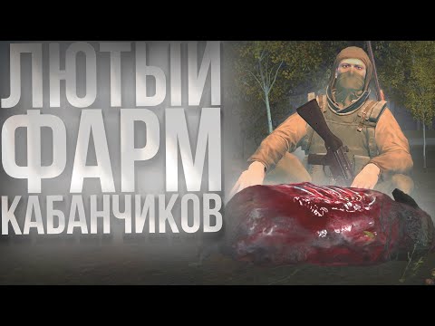 Видео: 12+ ЧАСОВ ФАРМА НА МОЛОДЫХ КАБАНЧИКАХ В STAY OUT