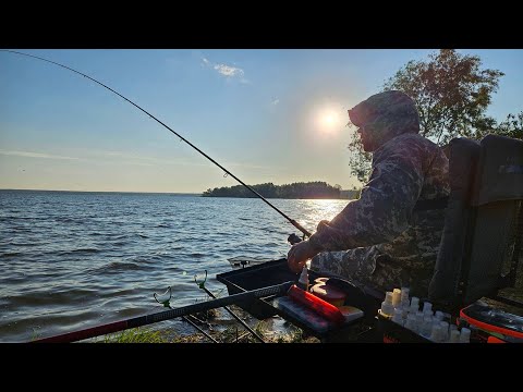 Видео: Ночь и утро на рыбалке! Наловил карася на фидер