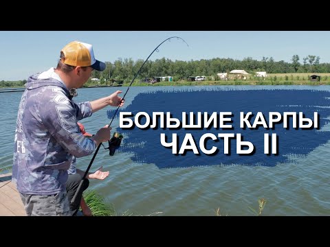 Видео: КАК ПОЙМАТЬ КРУПНЕНЬКУЮ? ТОНУЩИЙ или ПЛАВАЮЩИЙ? Стратегия ловли карпа.