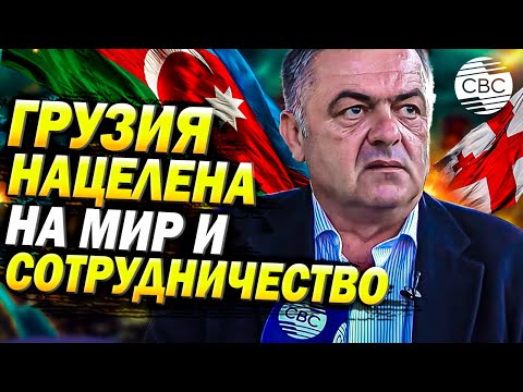 Видео: Тбилиси уделяет особое значение партнерским связям с Азербайджаном