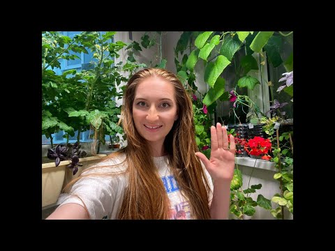 Видео: Огород на балконе