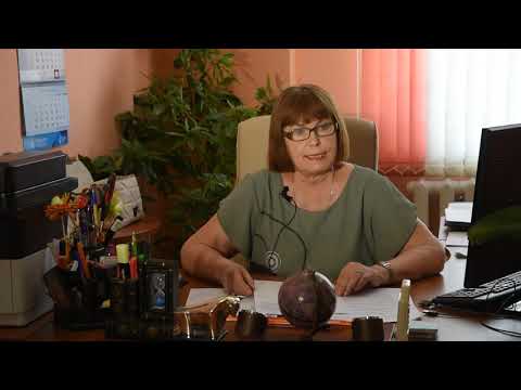 Видео: Конcультация по направлению подготовки магистратуры 19.04.03