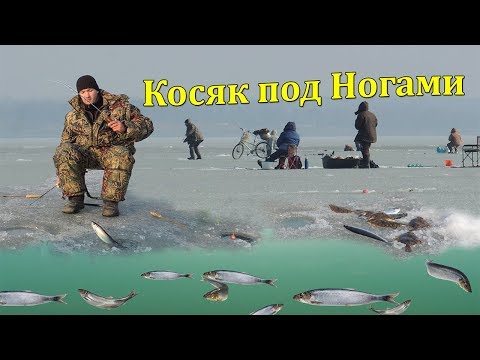 Видео: ВОТ ЭТО РЫБАЛКА! Рыба ходит косяком и клюёт на самодельные снасти! Рыбалка и ловля рыбы в приморье.