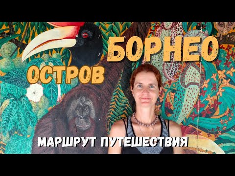 Видео: БОРНЕО (КАЛИМАНТАН) Маршрут самостоятельного путешествия. Джунгли и дайвинг