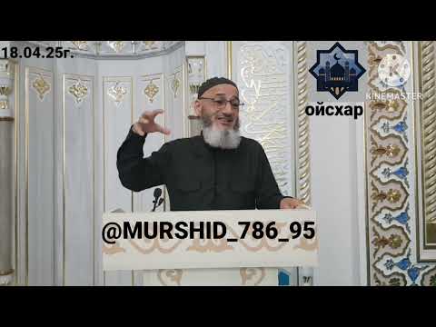 Видео: ИСА ХЬАЖА ОЙСХАР! ТАМИМ АСХЬАБЕХ ЛАЬЦ ХАЗ ХЬЕХАМ! 18.04.2025г.