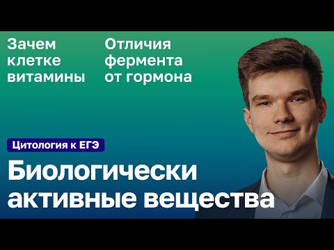 Видео: 2.26. Биологически активные вещества | Цитология к ЕГЭ | Георгий Мишуровский
