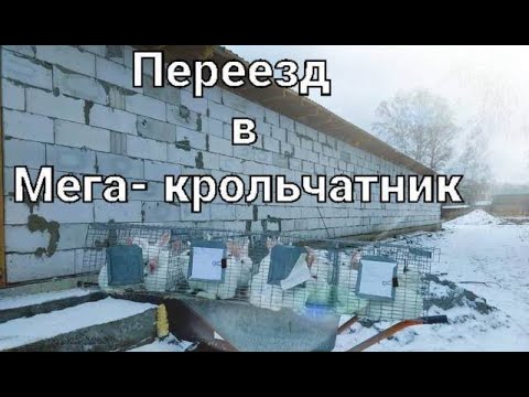 Видео: Переезд в Мега Крольчатник!