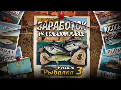 Видео: Заработок на Большом Живце. Бешеный Пулемёт. Как Сойти с ума и стать Миллионером в РР3.