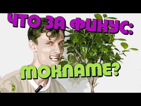 Видео: Что за фикус - мокламе | Флорасфера | Стеклянное напольное кашпо