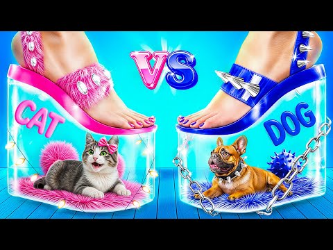 Видео: Мы построили двухэтажную кровать для животных!