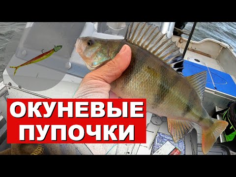 Видео: Ловля Окуня в Финляндии на бровках и отмелях