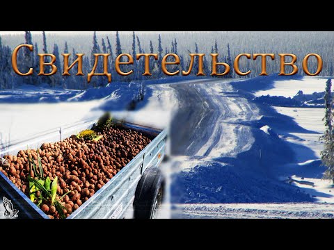 Видео: "Свидетельство" Ящуковский К.