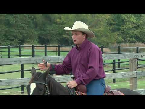 Видео: Как подготовить лошадь к ранчо-сортировке