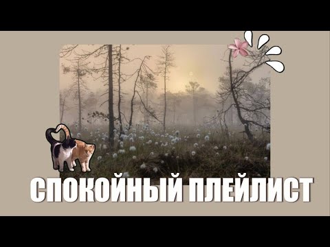 Видео: плейлист чтобы отдохнуть||спокойная музыка|| 2 часть
