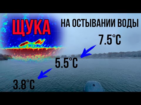 Видео: Особенности Ловли Щуки в Зависимости от ТЕМПЕРАТУРЫ ВОДЫ | Места Стоянки и Лучшие Приманки
