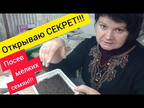 Видео: Мои  ПОСЕВНЫЕ СЕКРЕТЫ!!!
