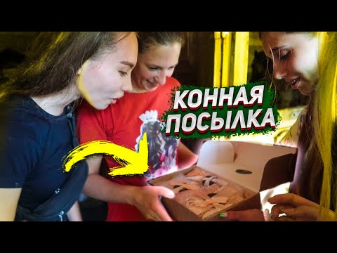 Видео: Распаковка КОННОЙ ПОСЫЛКИ От Подписчицы !! Галоп по полям VLOG