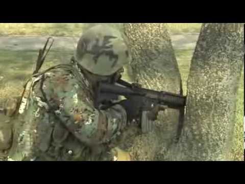 Видео: Специјални единици на АРМ