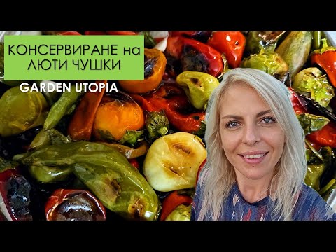 Видео: #Ден 10 от 90 ДНИ НА СЕЛО: Пукани люти чушлета