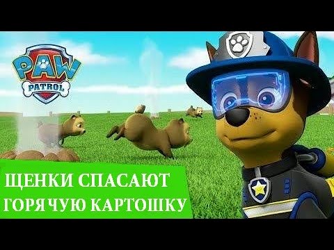 Видео: Аудиосказка. ЩЕНЯЧИЙ ПАТРУЛЬ🥔🍟 ЩЕНКИ СПАСАЮТ ГОРЯЧУЮ КАРТОШКУ (7 сезон 16 серия #2 часть) СЛУШАТЬ
